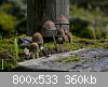 Clicca sull'immagine per ingrandirla

Nome: abitanti_del_bosco.jpg‎
Visite: 1308
Dimensione:  359,8 KB
ID: 2715